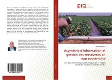 Copertina di Asymétrie d'information et gestion des ressources en eau souterraine