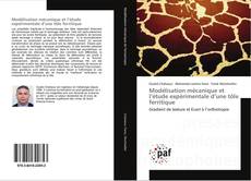 Buchcover von Modélisation mécanique et l’étude expérimentale d’une tôle ferritique
