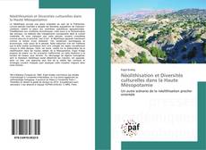 Buchcover von Néolithisation et Diversités culturelles dans la Haute Mésopotamie