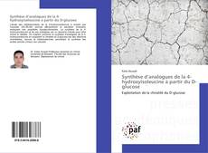 Couverture de Synthèse d’analogues de la 4-hydroxyisoleucine à partir du D-glucose