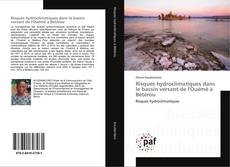 Buchcover von Risques hydroclimatiques dans le bassin versant de l'Ouémé à Bétérou