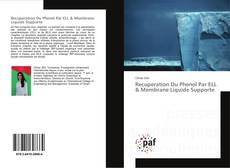 Copertina di Recuperation Du Phenol Par ELL & Membrane Liquide Supporte