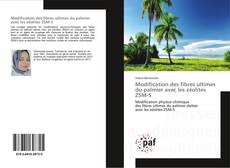Bookcover of Modification des fibres ultimes du palmier avec les zéolites ZSM-5