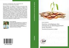 Gestion stratégique des ressources et développement local durable kitap kapağı