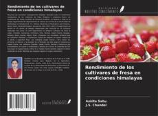 Copertina di Rendimiento de los cultivares de fresa en condiciones himalayas