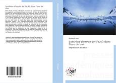 Copertina di Synthèse d'oxyde de (Fe,Al) dans l’eau de mer