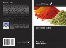 Copertina di Cúrcuma india