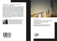 "Smart grids" : Les réseaux et compteurs d'électricité "intelligents" kitap kapağı