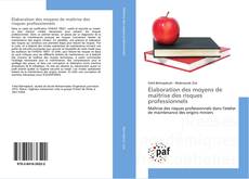 Élaboration des moyens de maîtrise des risques professionnels kitap kapağı