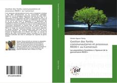 Gestion des forêts communautaires et processus REDD+ au Cameroun kitap kapağı