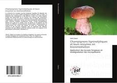 Copertina di Champignons ligninolytiques et leurs enzymes en bioremédiation