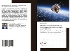 Modélisation des structures complexes par des méthodes multi-échelles的封面