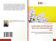 Borítókép a  Le principe constitutionnel de la non-rétroactivité des lois - hoz