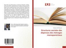 Capa do livro de Structures sociales des dépenses des ménages monoparentaux 