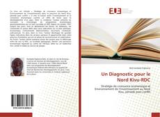 Un Diagnostic pour le Nord Kivu-RDC kitap kapağı