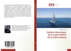 Analyse dynamique de la soutenabilité de la dette pubique kitap kapağı