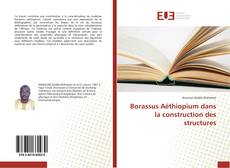 Portada del libro de Borassus Aéthiopium dans la construction des structures