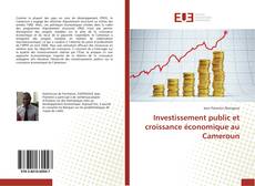 Portada del libro de Investissement public et croissance économique au Cameroun