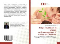 Projet structurant et impacts environnementaux et sociaux au Cameroun的封面