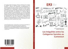 Les Inégalités entre les Catégories Sociales au Cameroun kitap kapağı