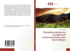 Copertina di Perceptions paysannes changements environnementaux sous bassin Okpara