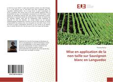 Mise en application de la non taille sur Sauvignon blanc en Languedoc的封面