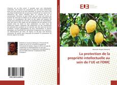 La protection de la propriété intellectuelle au sein de l’UE et l'OMC kitap kapağı