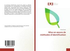 Bookcover of Mise en œuvre de méthodes d’identification