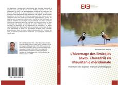 Bookcover of L'hivernage des limicoles (Aves, Charadrii) en Mauritanie méridionale
