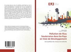 Pollution de l'Eau Souterraine dans les Pays en Voie de Développement kitap kapağı