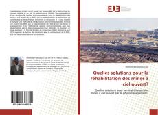 Quelles solutions pour la réhabilitation des mines à ciel ouvert? kitap kapağı