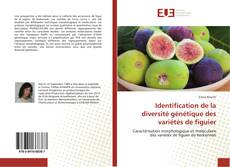 Borítókép a  Identification de la diversité génétique des variétés de figuier - hoz