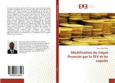 Modélisation du risque financier par la TEV et les copules kitap kapağı