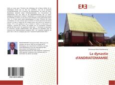 Bookcover of La dynastie d'ANDRIATOMAMBE