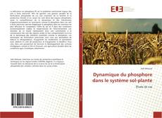 Buchcover von Dynamique du phosphore dans le système sol-plante