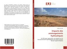 Impacts des aménagements hydrauliques kitap kapağı