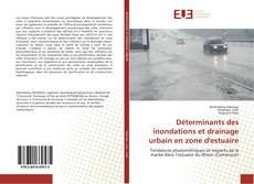 Capa do livro de Déterminants des inondations et drainage urbain en zone d'estuaire 