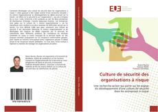 Bookcover of Culture de sécurité des organisations à risque