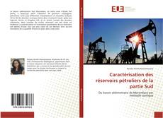 Caractérisation des réservoirs pétroliers de la partie Sud kitap kapağı