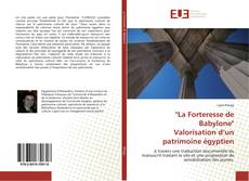 Bookcover of "La Forteresse de Babylone" Valorisation d’un patrimoine égyptien