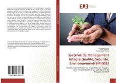 Capa do livro de Système de Management Intégré Qualité, Sécurité, Environnement(SMIQSE) 
