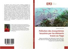 Portada del libro de Pollution des écosystèmes lacustres par les éléments traces au Togo