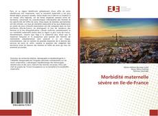 Buchcover von Morbidité maternelle sévère en Ile-de-France