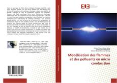 Capa do livro de Modélisation des flammes et des polluants en micro combustion 