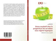 Bookcover of Stress oxydatif chez la progéniture de rat obèse sous régime hypergras