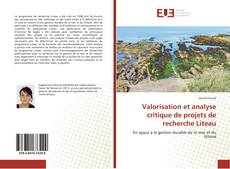 Copertina di Valorisation et analyse critique de projets de recherche Liteau