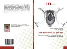 Bookcover of Les déchirures du périnée