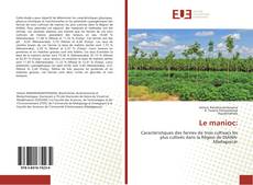 Le manioc: kitap kapağı