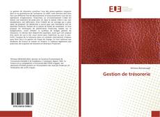 Bookcover of Gestion de trésorerie