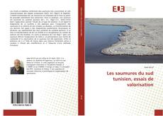 Les saumures du sud tunisien, essais de valorisation kitap kapağı